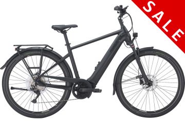 PEGASUS Premio Evo 10 Lite 625Wh *