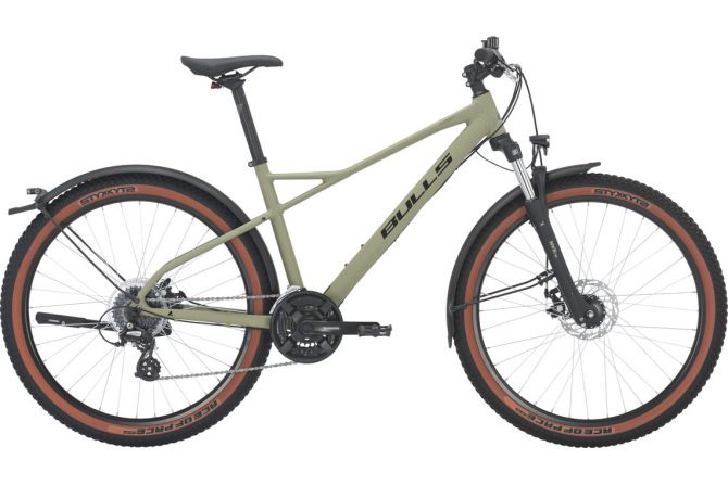 BULLS | SHARPTAIL STREET 2