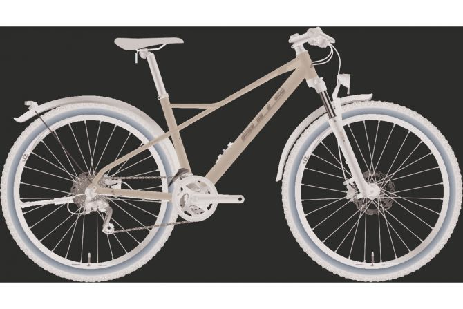 BULLS | SHARPTAIL STREET 2