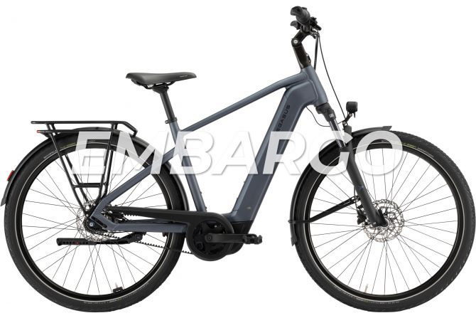 PEGASUS | Solero EVO 7F Belt