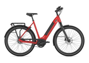 GAZELLE Ultimate C8+ HMB Belt (BES2)