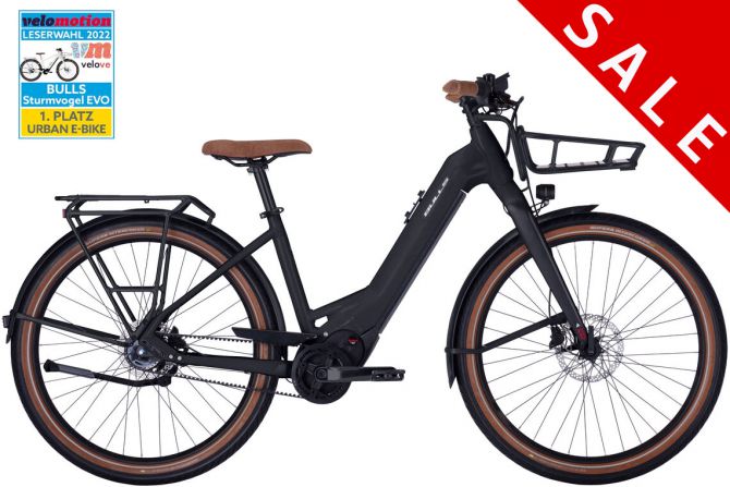 BULLS | Sturmvogel EVO 5F Belt *