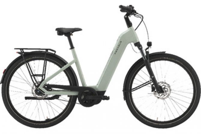 PEGASUS | Solero EVO 7F Belt